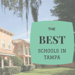 plant high best school tampa