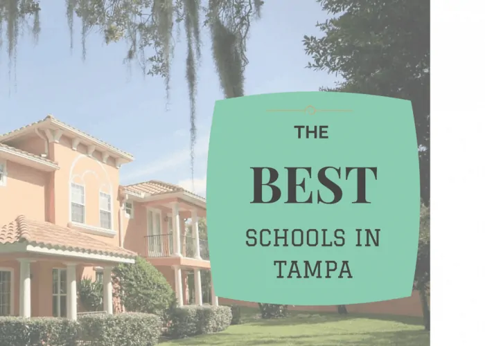 plant high best school tampa