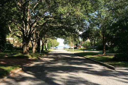 Bayshore Beautiful Neighborhood Tampa