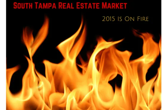South Tampa Real Estate Market