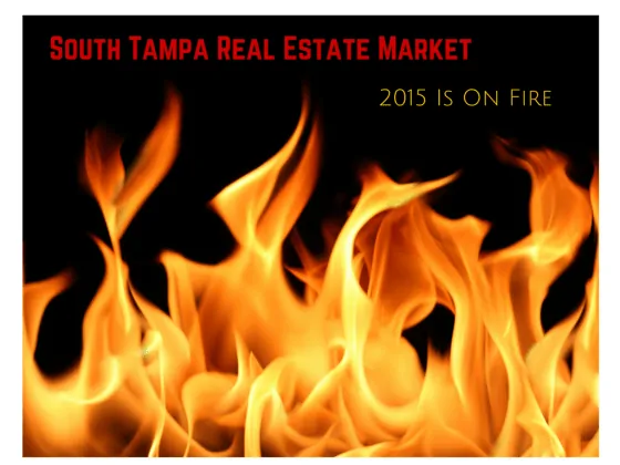 South Tampa Real Estate Market