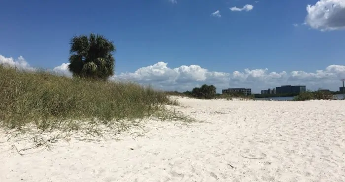 South Tampa Waterfront Homes