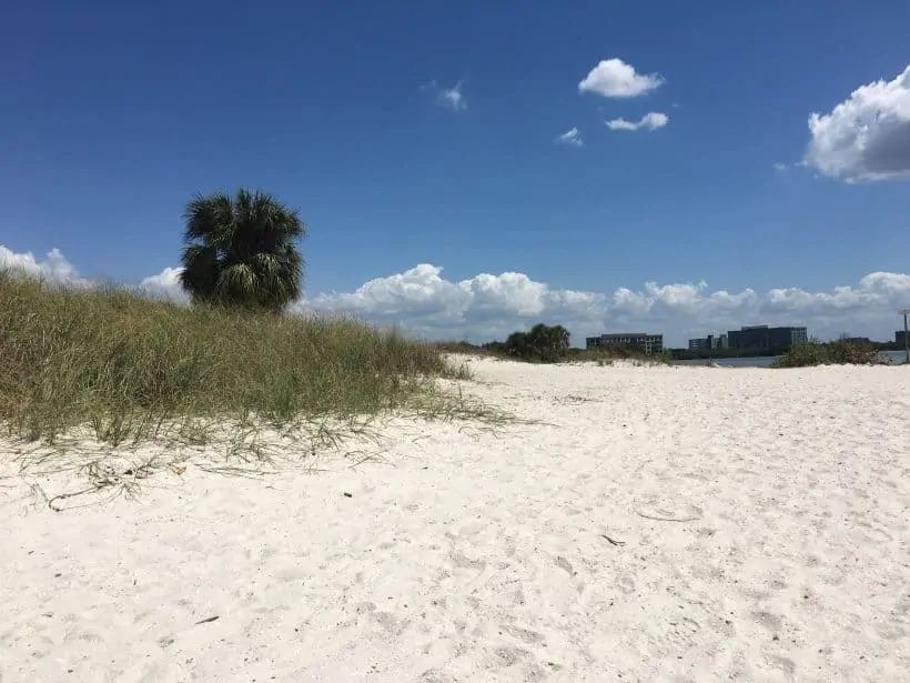 South Tampa Waterfront Homes