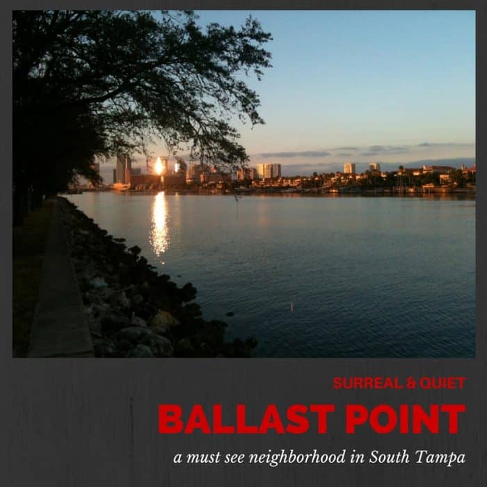 Ballast Point Neighborhood Guide South Tampa's Hidden Treasure The