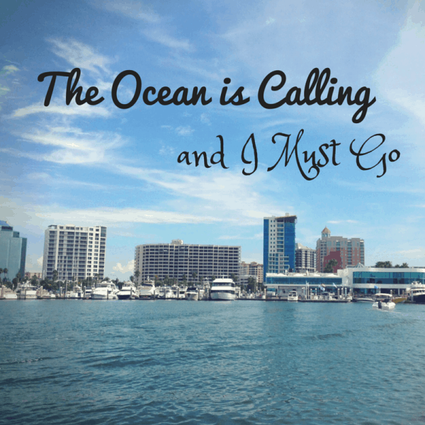 Tampa Florida Extended Weather Forecast The Tampa Real Estate Insider