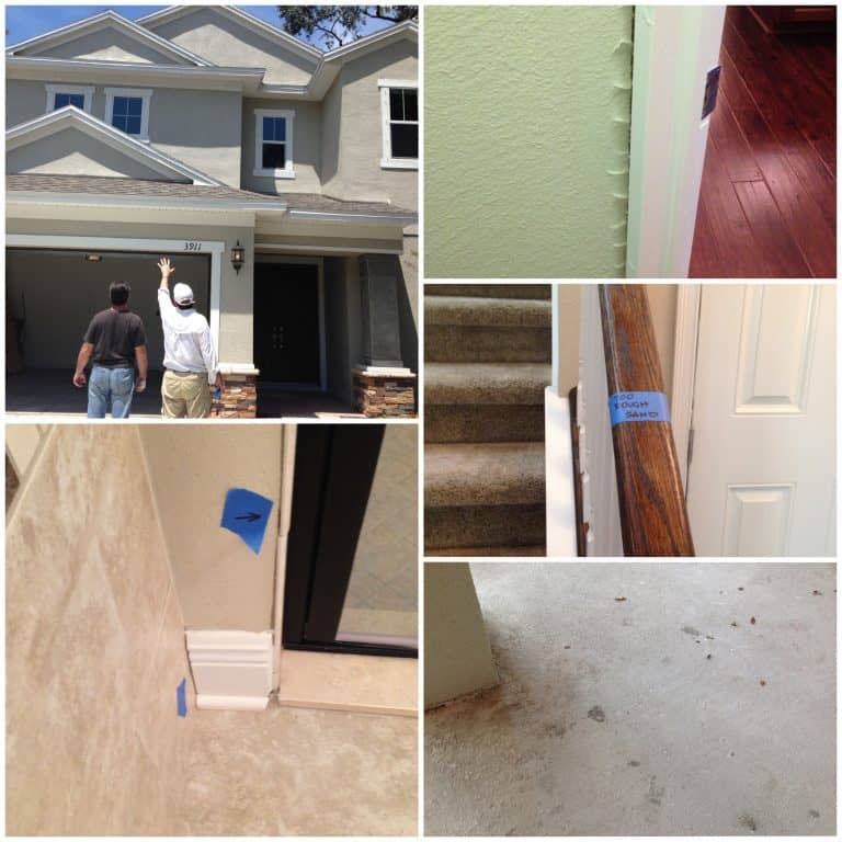 New Construction TampaBackyard Bungalow Style! The Tampa Real Estate Insider