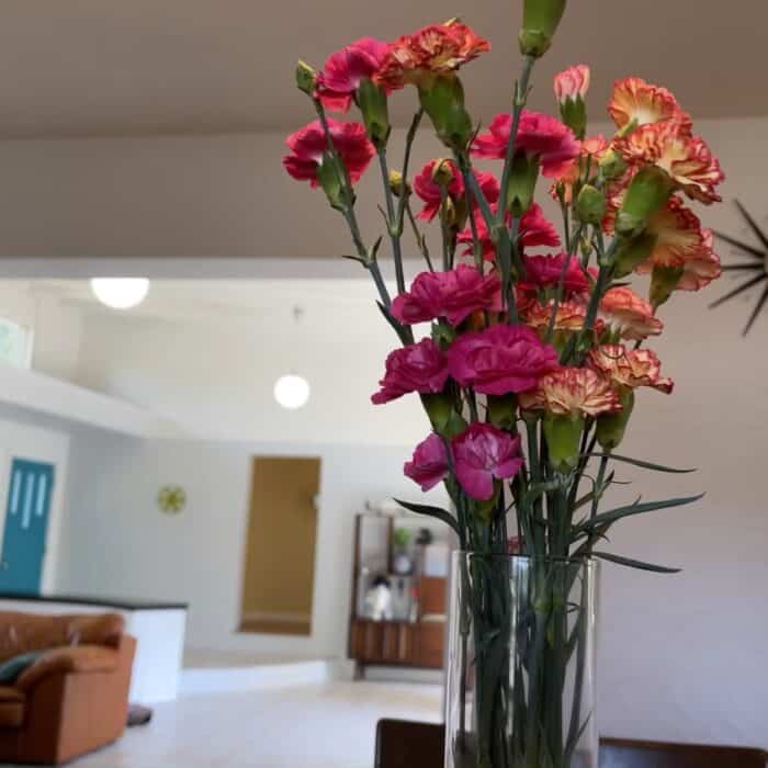 Tampa Florida Extended Weather Forecast The Tampa Real Estate Insider